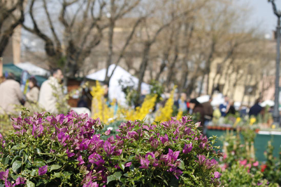 Festa di primavera e Castello in fiore
