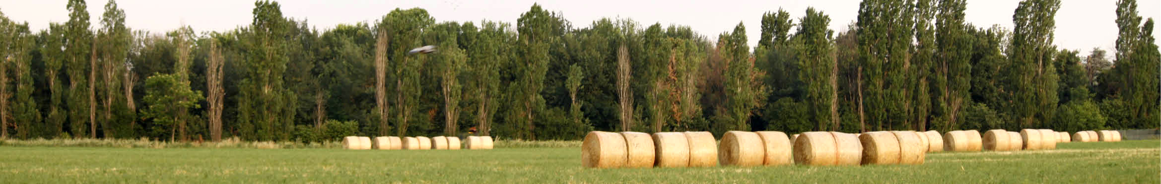 Ambiente-2.jpg