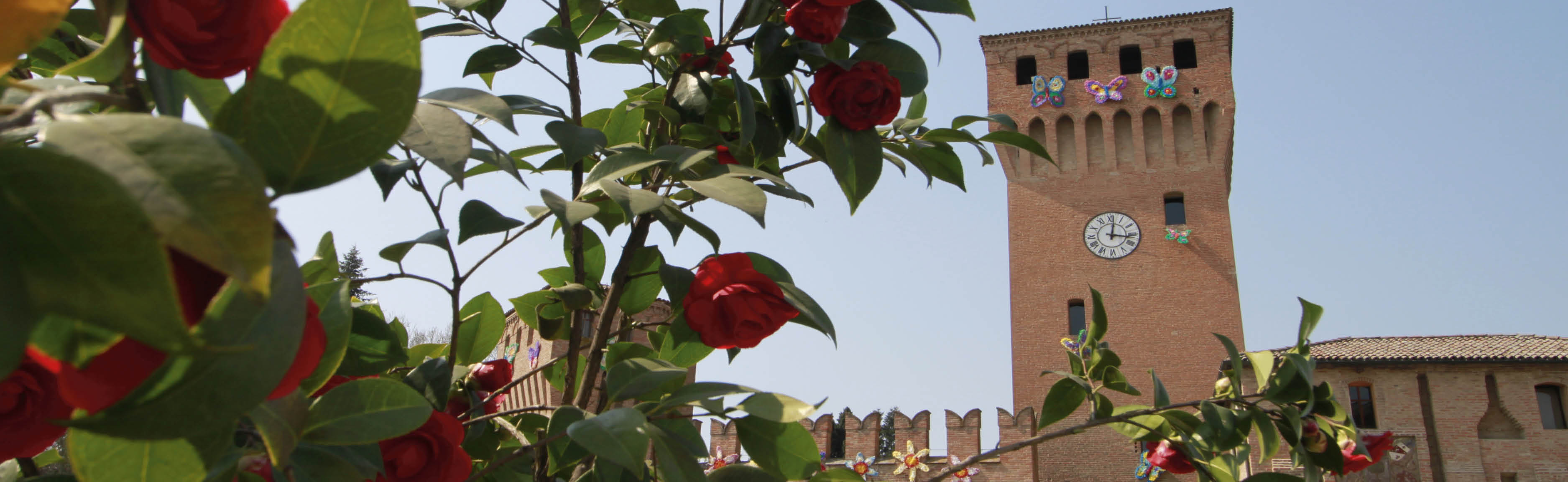 Festa dei fiori-2.jpg