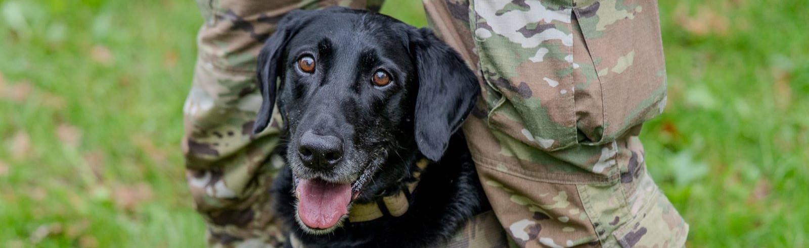 Attacchi di design 25_2.jpg