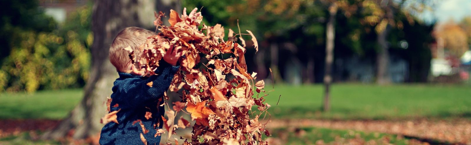 Autunno gentile_2.jpg