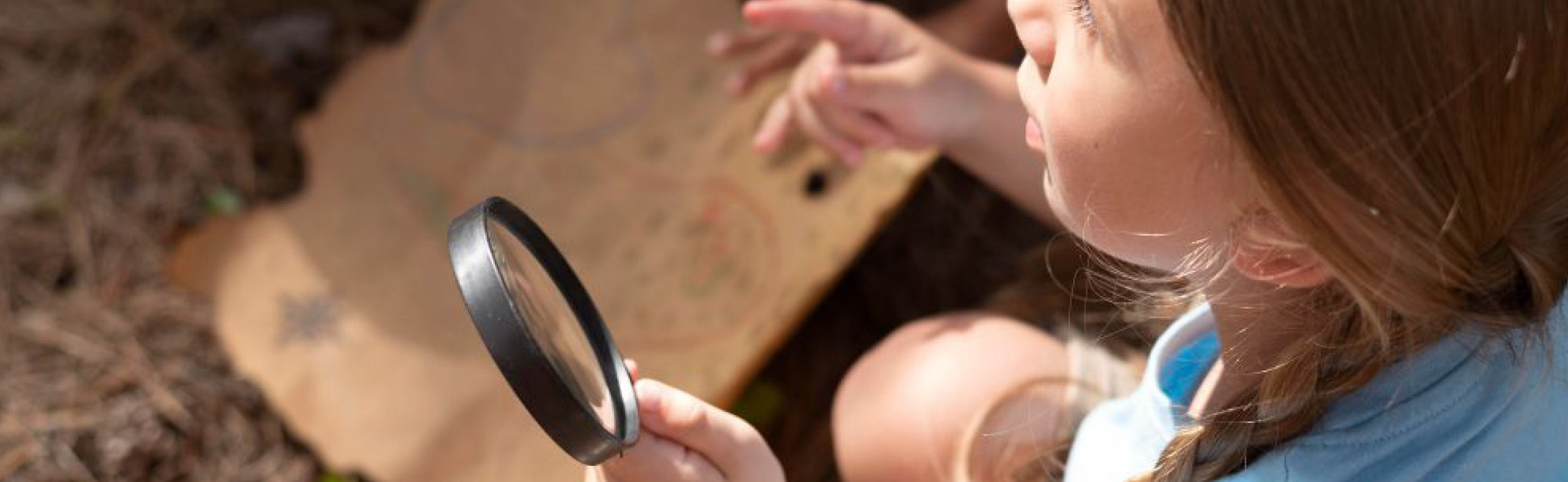 Caccia al tesoro-2.jpg