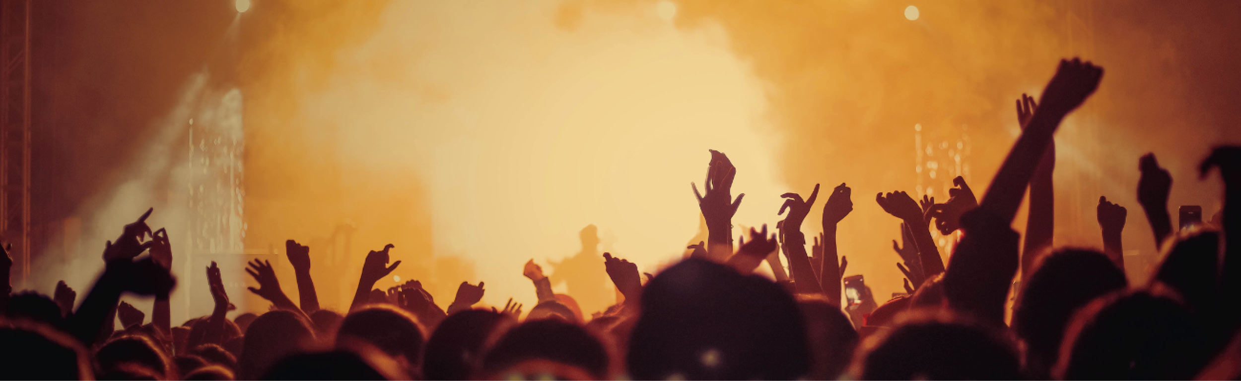 Picchio rosso a Formigine (1).png