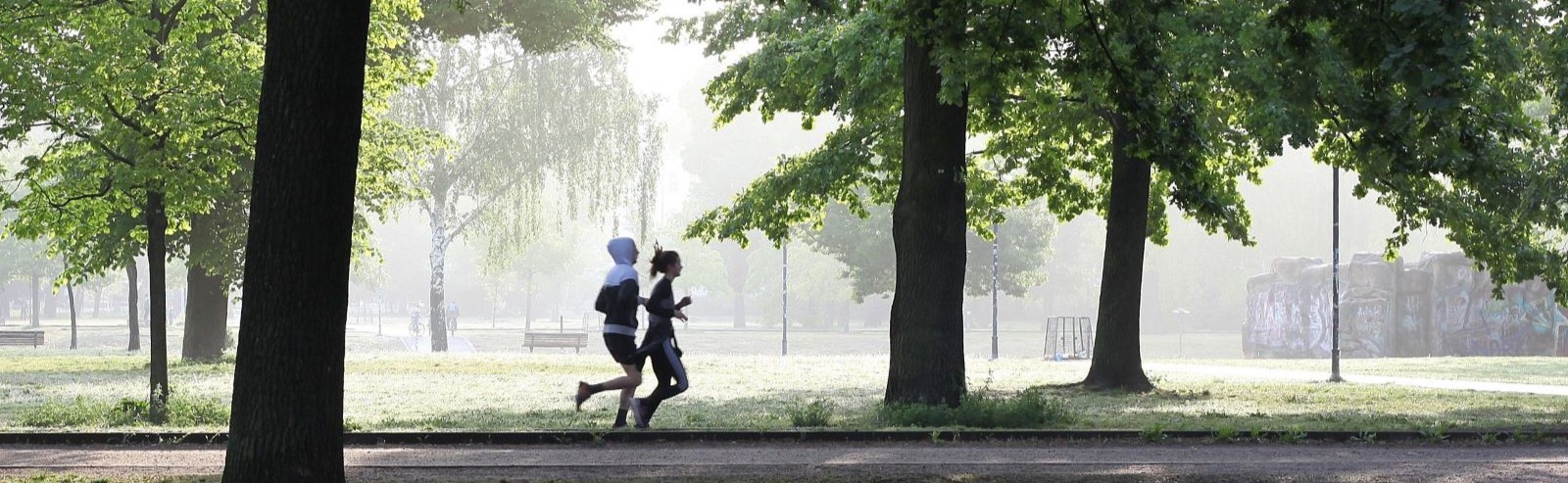 Palestra all'aperto_2.jpg