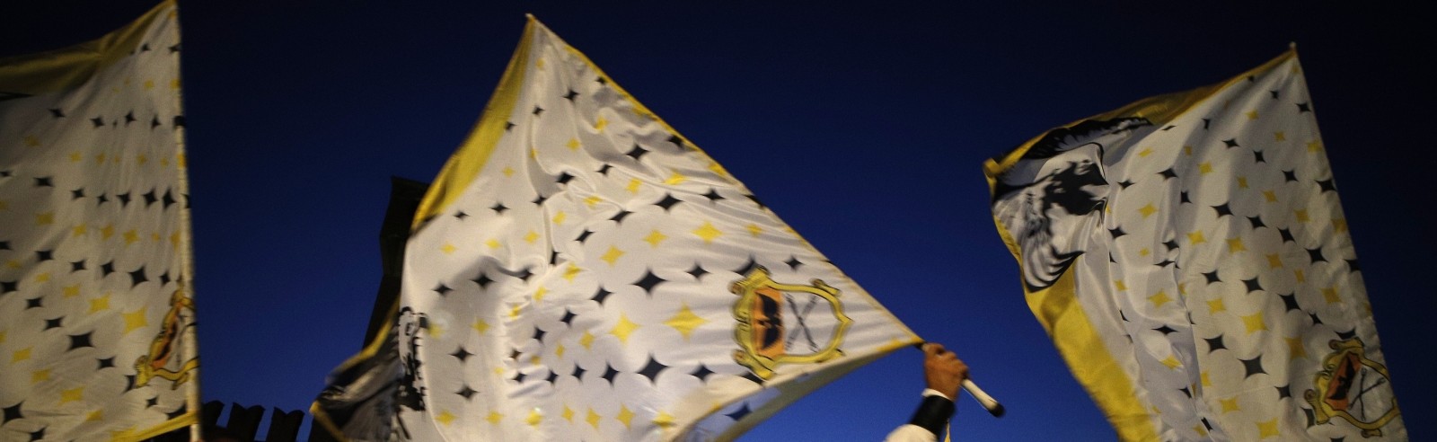 Tenzone Aurea 2025_2.jpg