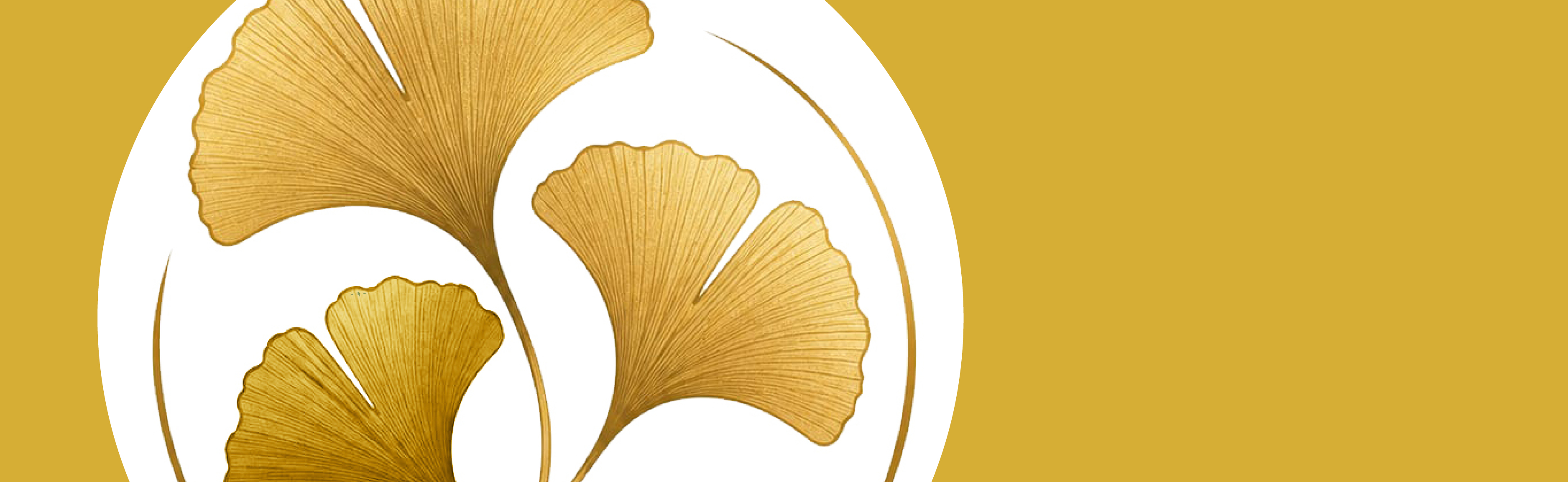Ginkgo d’Oro.jpg