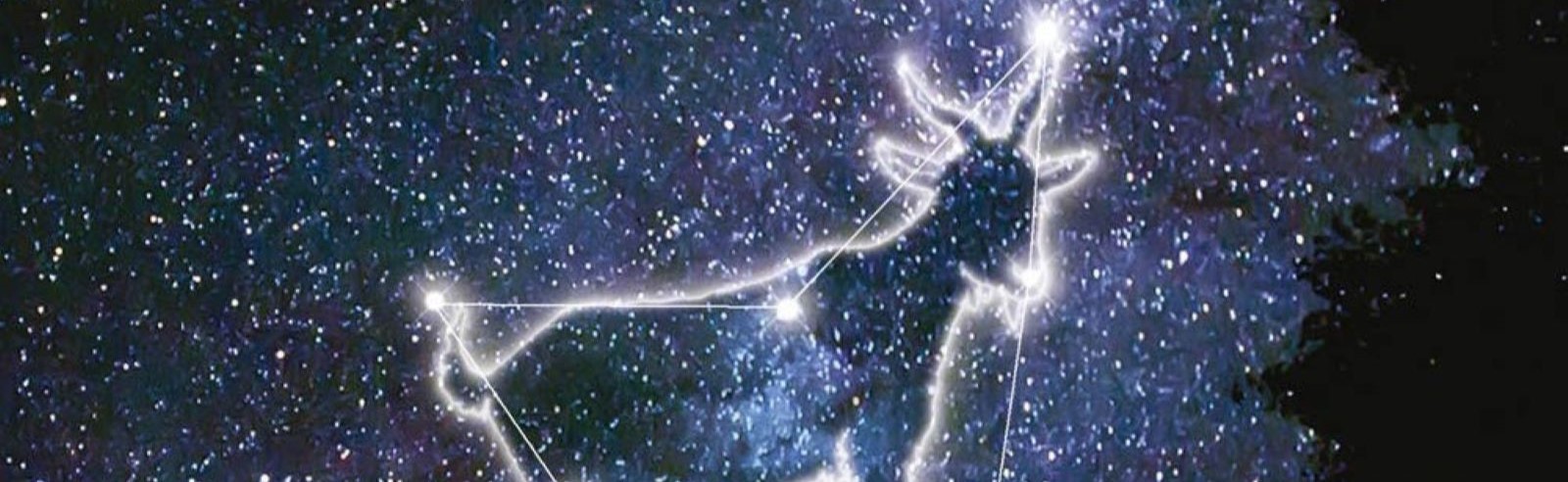 La capra vicino al cielo_2.jpg